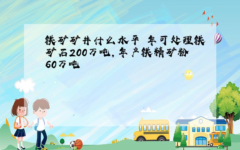 铁矿矿井什么水平 年可处理铁矿石200万吨,年产铁精矿粉60万吨