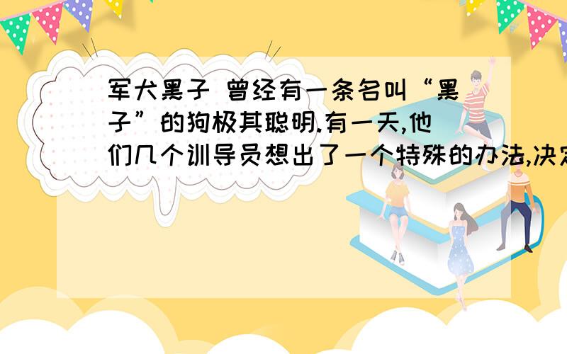 军犬黑子 曾经有一条名叫“黑子”的狗极其聪明.有一天,他们几个训导员想出了一个特殊的办法,决定用来测一测黑子的反应能力.