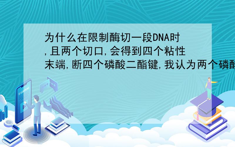 为什么在限制酶切一段DNA时,且两个切口,会得到四个粘性末端,断四个磷酸二酯键,我认为两个磷酸二酯键