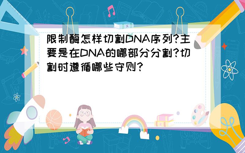 限制酶怎样切割DNA序列?主要是在DNA的哪部分分割?切割时遵循哪些守则?