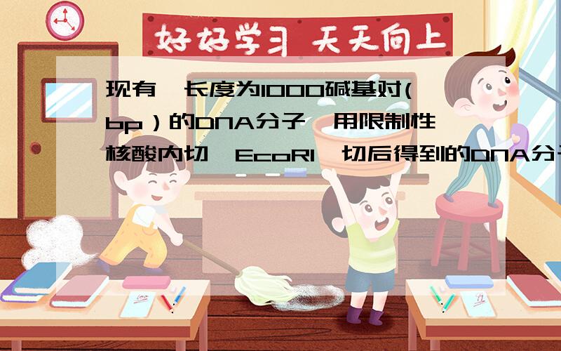 现有一长度为1000碱基对(bp）的DNA分子,用限制性核酸内切酶EcoR1酶切后得到的DNA分子仍是1000 bp,用