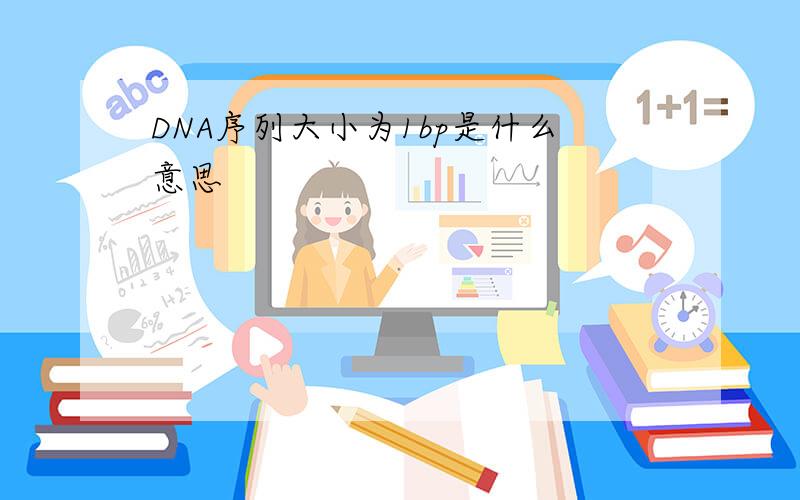 DNA序列大小为1bp是什么意思