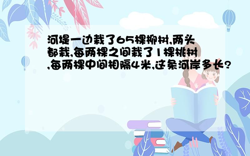 河堤一边栽了65棵柳树,两头都栽,每两棵之间栽了1棵桃树,每两棵中间相隔4米,这条河岸多长?