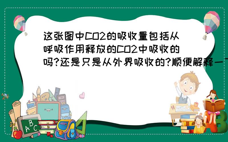 这张图中CO2的吸收量包括从呼吸作用释放的CO2中吸收的吗?还是只是从外界吸收的?顺便解释一下总光和作用,