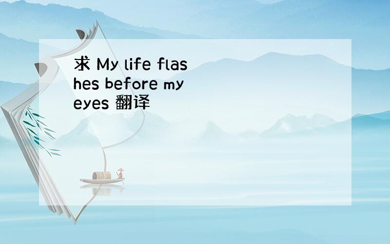 求 My life flashes before my eyes 翻译