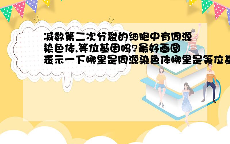 减数第二次分裂的细胞中有同源染色体,等位基因吗?最好画图表示一下哪里是同源染色体哪里是等位基因.谢谢〜&#