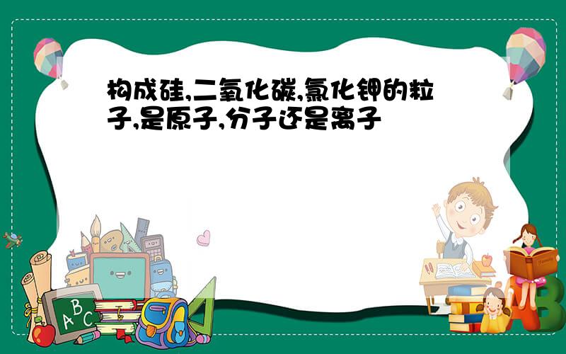 构成硅,二氧化碳,氯化钾的粒子,是原子,分子还是离子