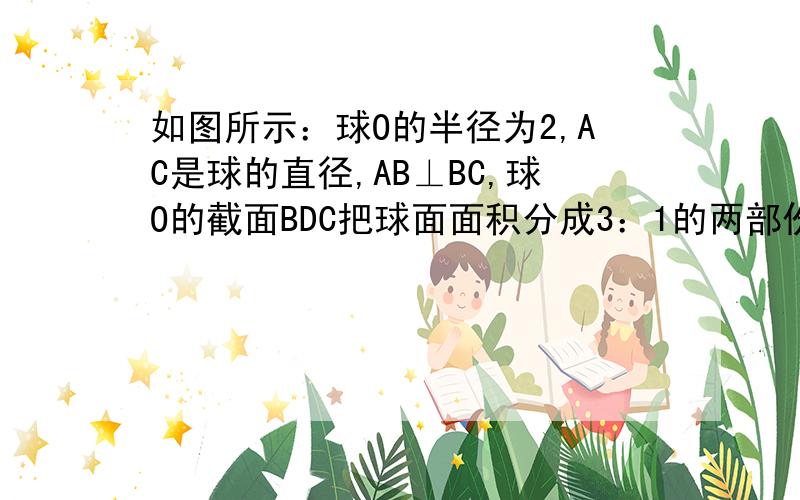 如图所示：球O的半径为2,AC是球的直径,AB⊥BC,球O的截面BDC把球面面积分成3：1的两部份,