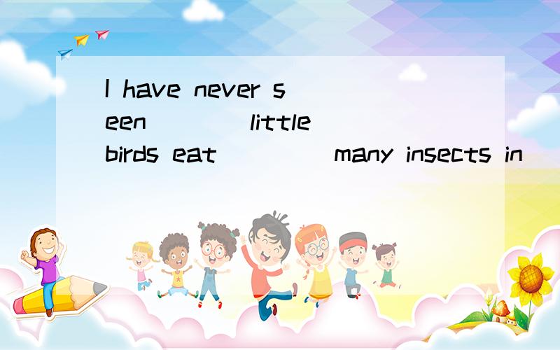 I have never seen____little birds eat____ many insects in___