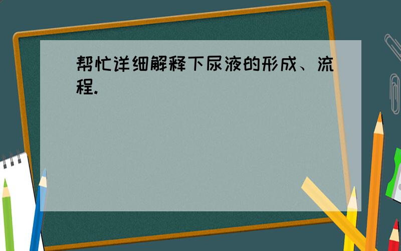 帮忙详细解释下尿液的形成、流程.