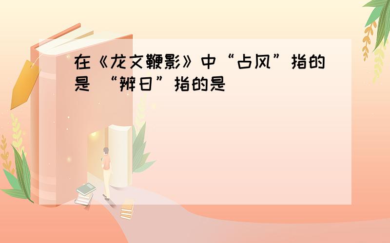 在《龙文鞭影》中“占风”指的是 “辨日”指的是