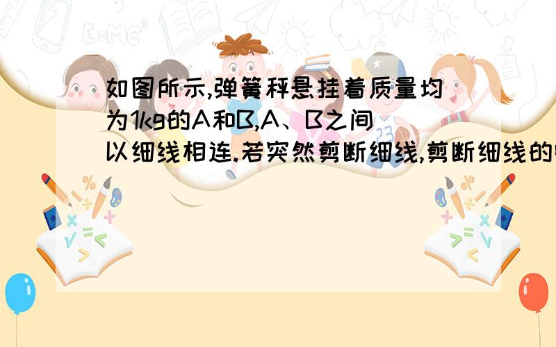 如图所示,弹簧秤悬挂着质量均为1kg的A和B,A、B之间以细线相连.若突然剪断细线,剪断细线的瞬间,A和B的加速度为