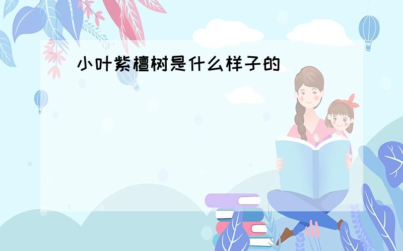 小叶紫檀树是什么样子的