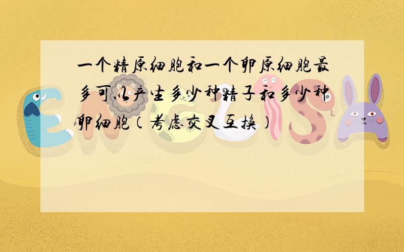 一个精原细胞和一个卵原细胞最多可以产生多少种精子和多少种卵细胞（考虑交叉互换）