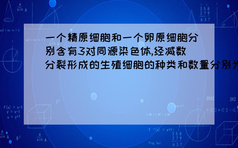 一个精原细胞和一个卵原细胞分别含有3对同源染色体,经减数分裂形成的生殖细胞的种类和数量分别为?