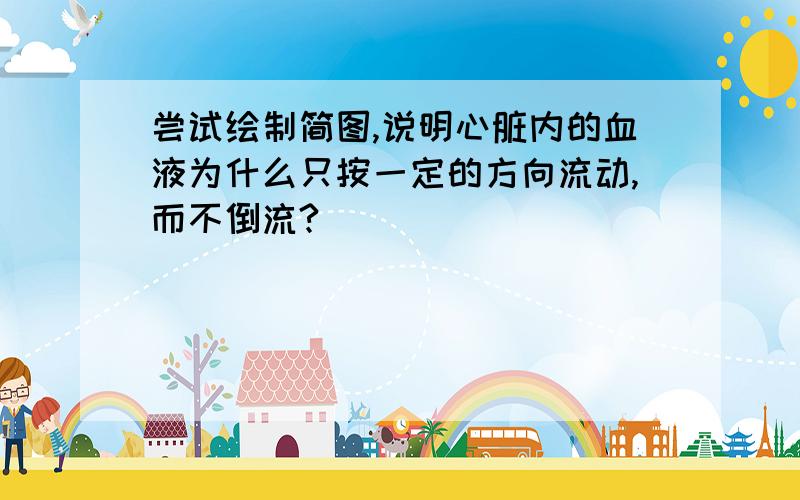 尝试绘制简图,说明心脏内的血液为什么只按一定的方向流动,而不倒流?