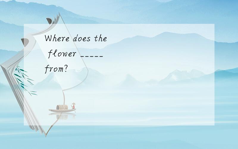 Where does the flower _____ from?