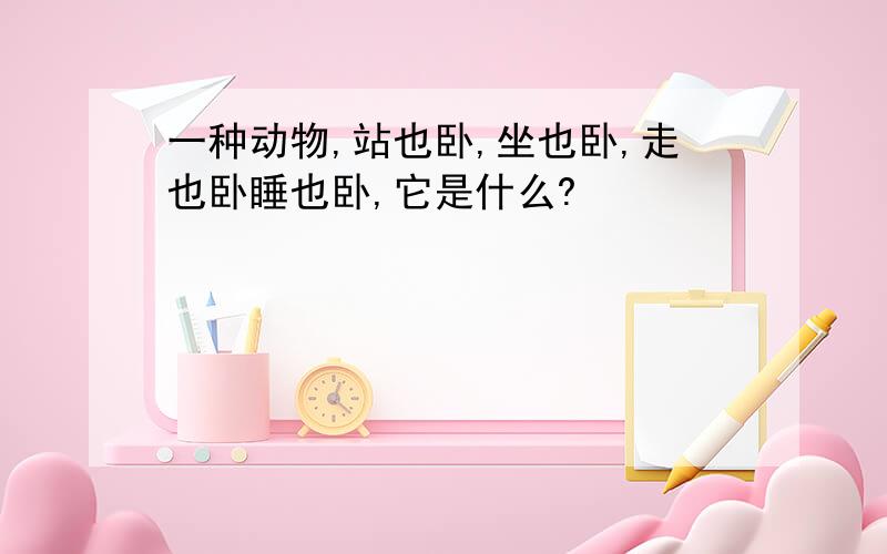 一种动物,站也卧,坐也卧,走也卧睡也卧,它是什么?