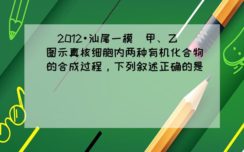 （2012•汕尾一模）甲、乙图示真核细胞内两种有机化合物的合成过程，下列叙述正确的是（　　）