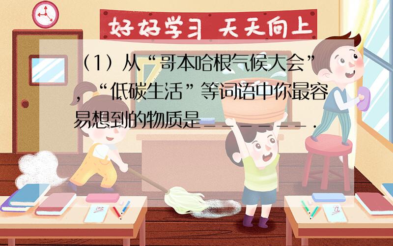 （1）从“哥本哈根气候大会”，“低碳生活”等词语中你最容易想到的物质是______．