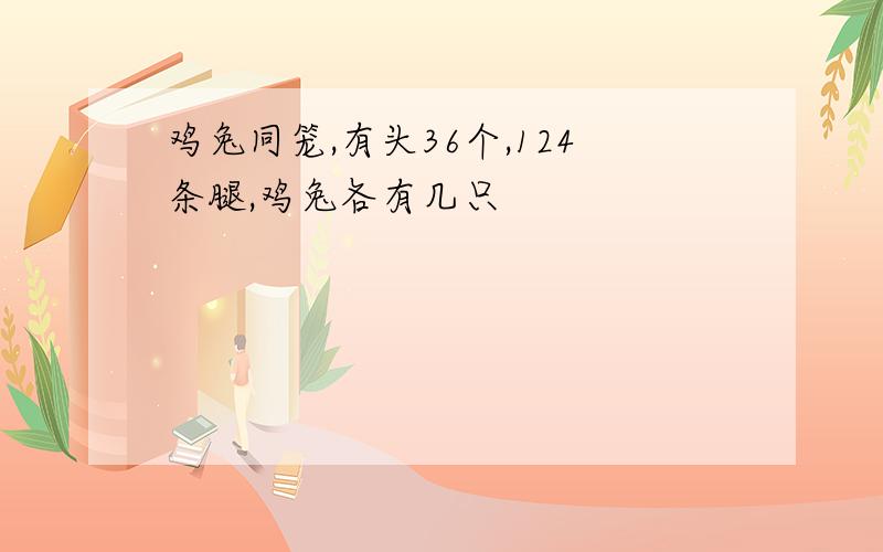 鸡兔同笼,有头36个,124条腿,鸡兔各有几只