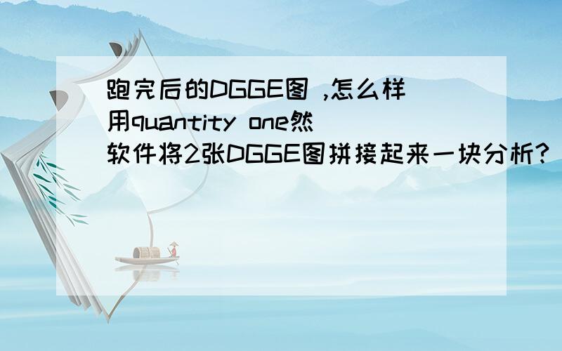 跑完后的DGGE图 ,怎么样用quantity one然软件将2张DGGE图拼接起来一块分析?