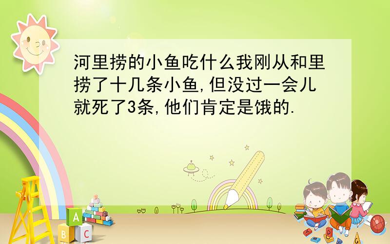 河里捞的小鱼吃什么我刚从和里捞了十几条小鱼,但没过一会儿就死了3条,他们肯定是饿的.