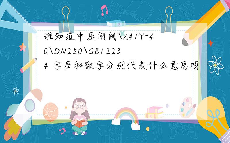 谁知道中压闸阀\Z41Y-40\DN250\GB12234 字母和数字分别代表什么意思呀