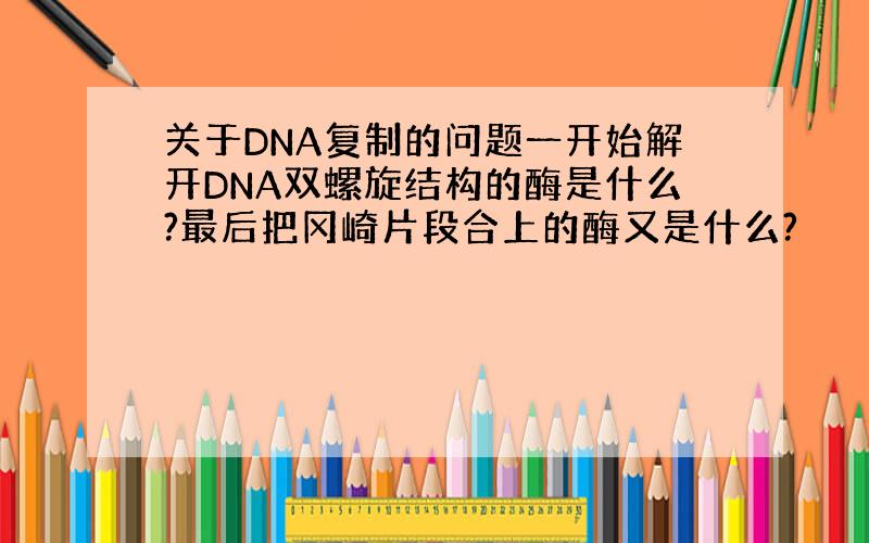 关于DNA复制的问题一开始解开DNA双螺旋结构的酶是什么?最后把冈崎片段合上的酶又是什么?