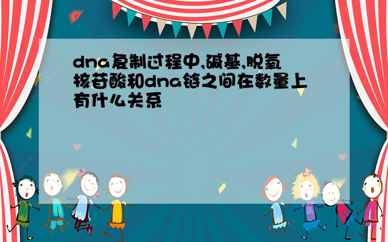 dna复制过程中,碱基,脱氧核苷酸和dna链之间在数量上有什么关系