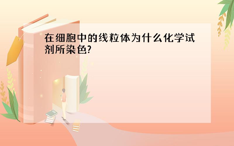 在细胞中的线粒体为什么化学试剂所染色?