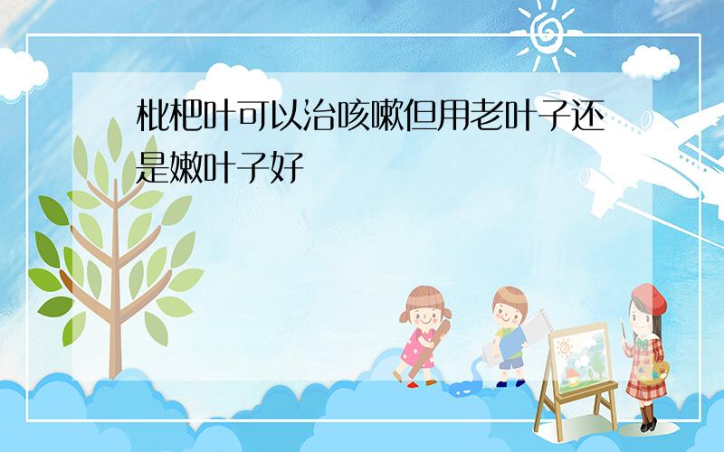 枇杷叶可以治咳嗽但用老叶子还是嫩叶子好