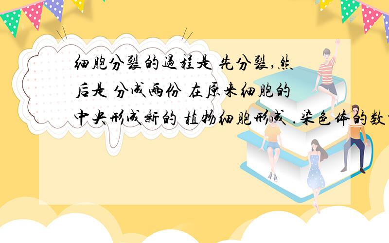 细胞分裂的过程是 先分裂,然后是 分成两份 在原来细胞的中央形成新的 植物细胞形成 .染色体的数量在细胞