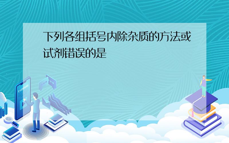 下列各组括号内除杂质的方法或试剂错误的是