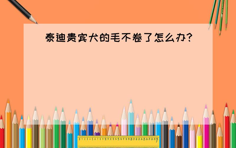 泰迪贵宾犬的毛不卷了怎么办?