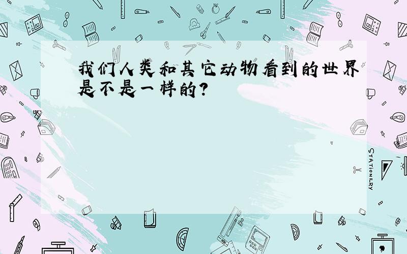 我们人类和其它动物看到的世界是不是一样的?