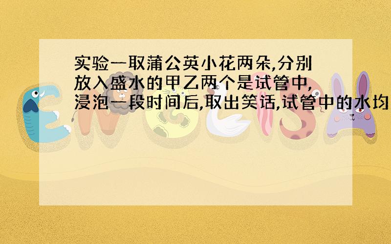 实验一取蒲公英小花两朵,分别放入盛水的甲乙两个是试管中,浸泡一段时间后,取出笑话,试管中的水均为无色透明.