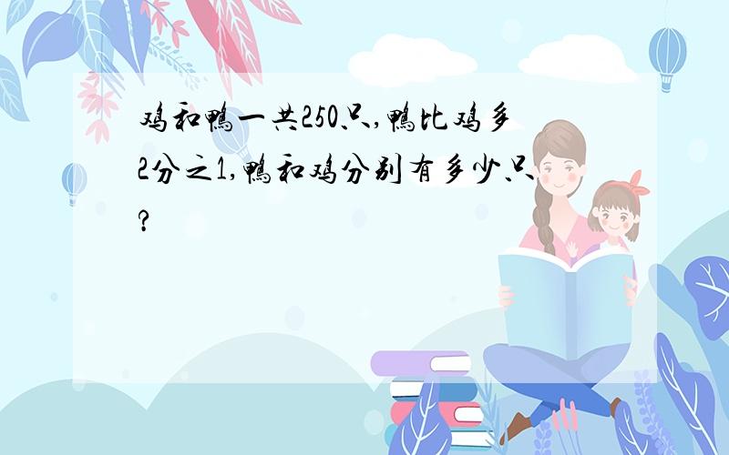 鸡和鸭一共250只,鸭比鸡多2分之1,鸭和鸡分别有多少只?