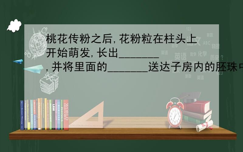 桃花传粉之后,花粉粒在柱头上开始萌发,长出_______,并将里面的_______送达子房内的胚珠中,再次精子与卵细胞结