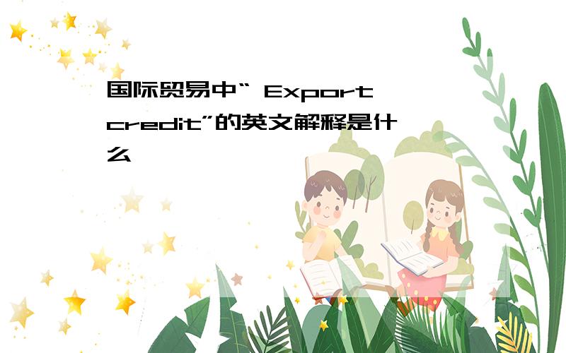 国际贸易中“ Export credit”的英文解释是什么