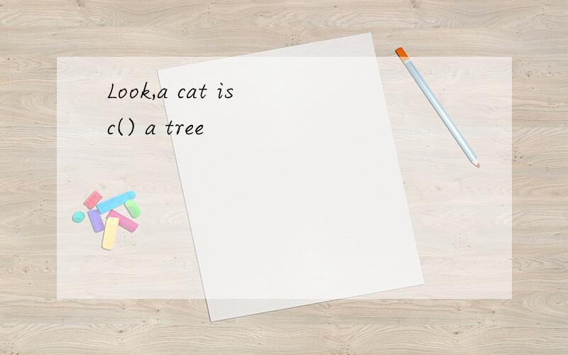 Look,a cat is c() a tree