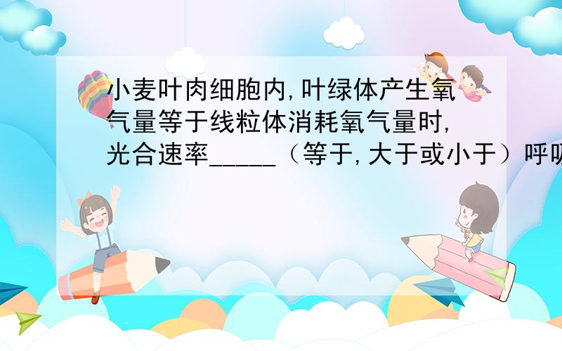 小麦叶肉细胞内,叶绿体产生氧气量等于线粒体消耗氧气量时,光合速率_____（等于,大于或小于）呼吸速率