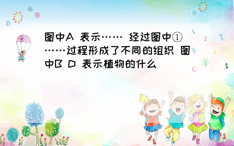 图中A 表示…… 经过图中①……过程形成了不同的组织 图中B D 表示植物的什么