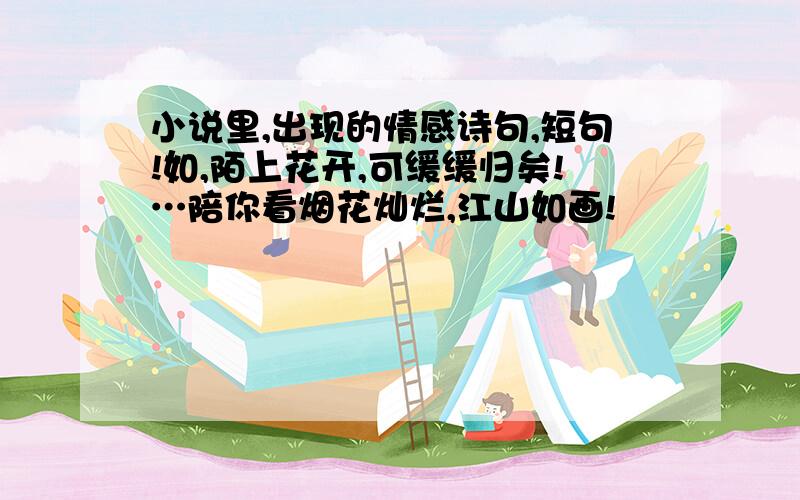 小说里,出现的情感诗句,短句!如,陌上花开,可缓缓归矣!…陪你看烟花灿烂,江山如画!