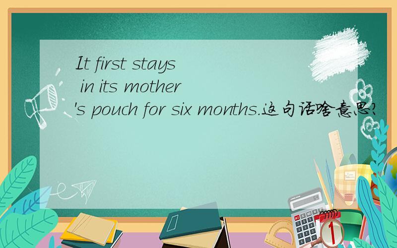 It first stays in its mother's pouch for six months.这句话啥意思?