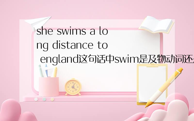 she swims a long distance to england这句话中swim是及物动词还是不及物动词?