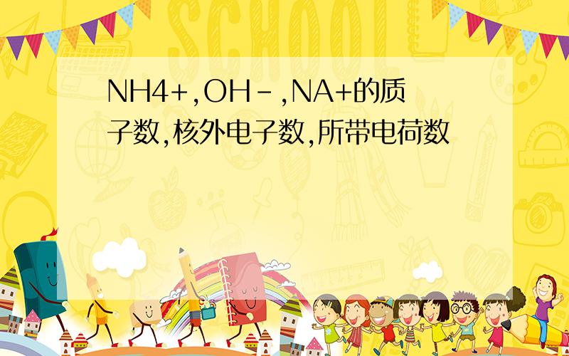 NH4+,OH-,NA+的质子数,核外电子数,所带电荷数