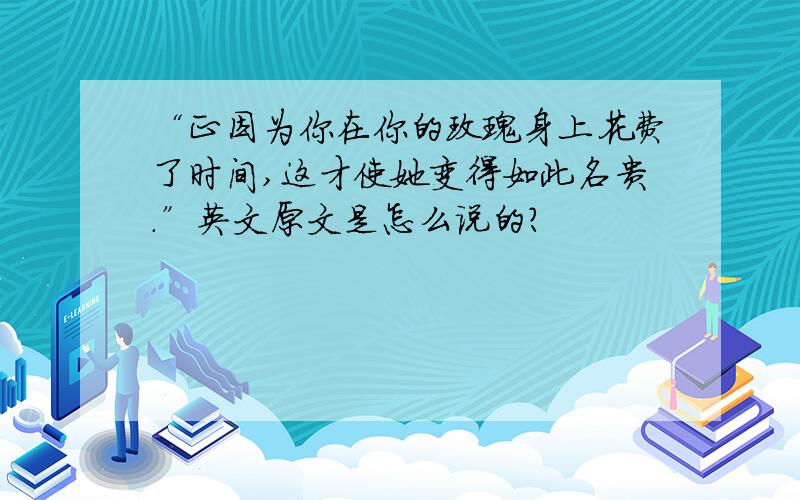 “正因为你在你的玫瑰身上花费了时间,这才使她变得如此名贵.”英文原文是怎么说的?