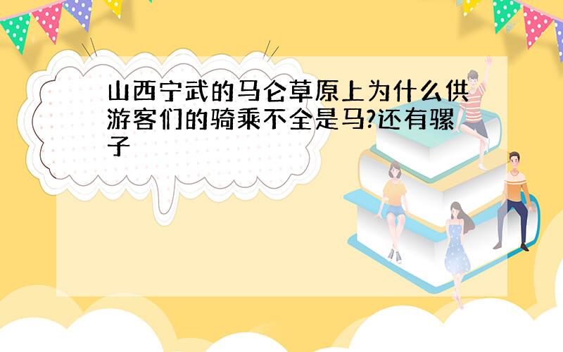 山西宁武的马仑草原上为什么供游客们的骑乘不全是马?还有骡子