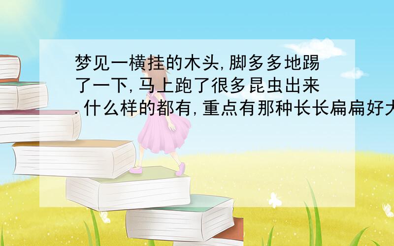 梦见一横挂的木头,脚多多地踢了一下,马上跑了很多昆虫出来.什么样的都有,重点有那种长长扁扁好大好大一条的那种蜈蚣.起初想